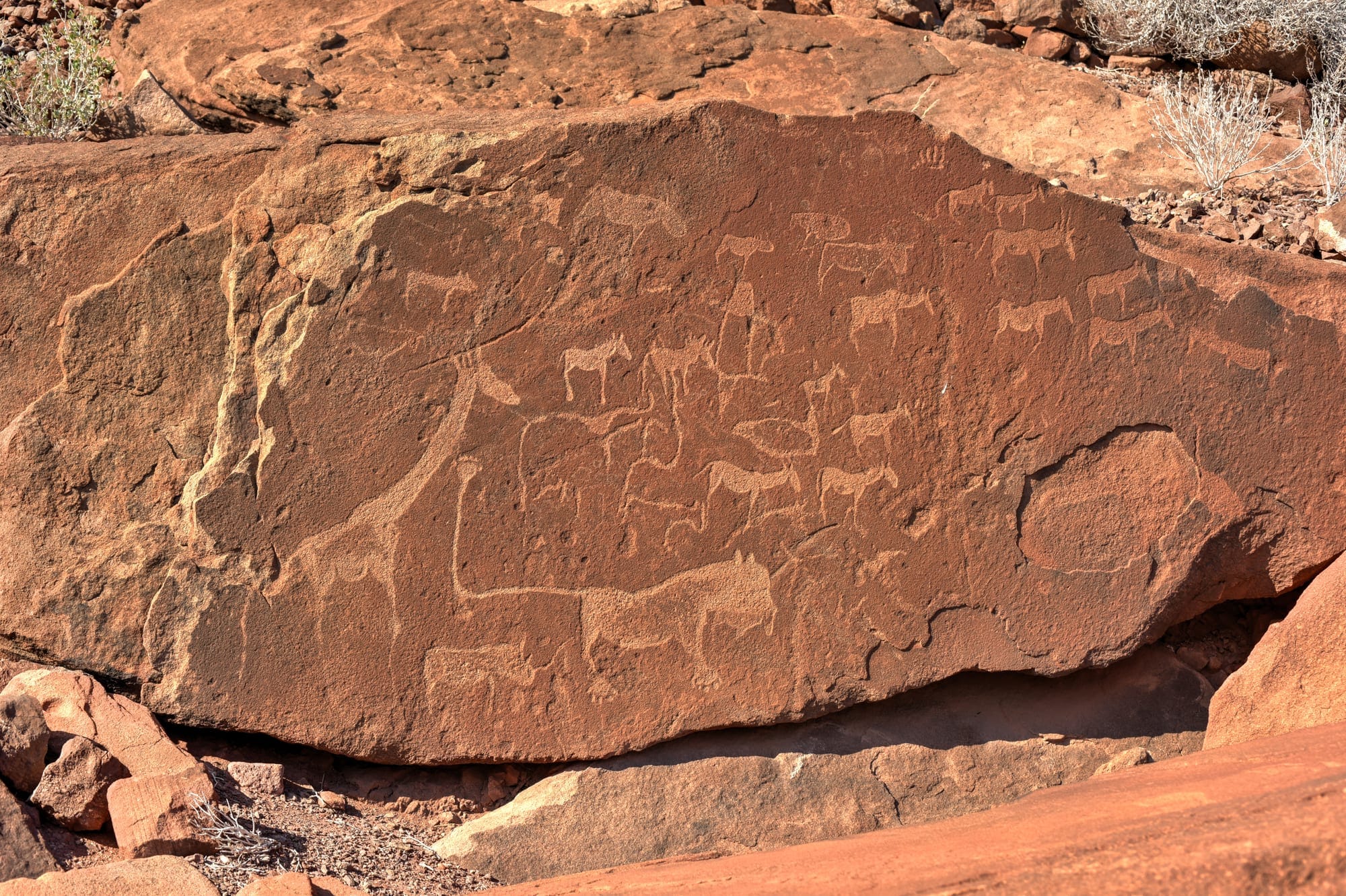 Damaraland's volcanic landscape with ancient rock engravings carved into a basalt slab in the foreground