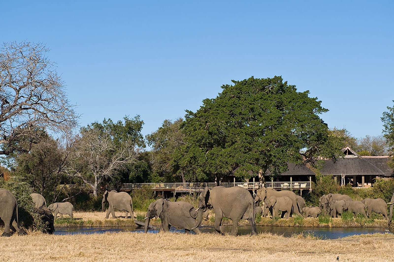 Guests on a granite koppie at sundown, vehicle parked behind, Greater Kruger