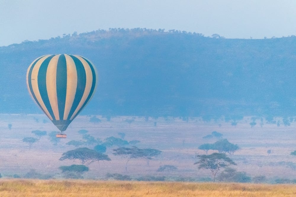 Hot air balloon at first light over the Tarangire river system, elephant herds visible below in the early gold