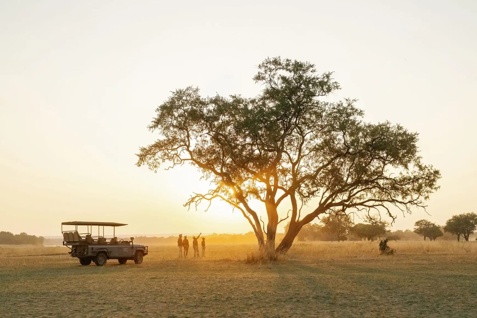 A safari vehicle parked under a sprawling acacia at golden hour, guide and guests on foot beside it in the open Luangwa floor, dust hanging in the backlight