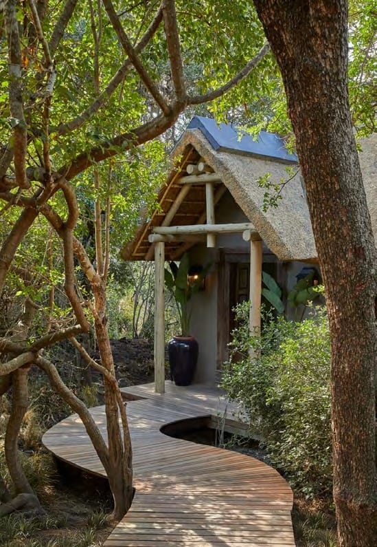 Curved wooden walkway through the trees leading to a new thatched private suite entrance at Malewane Lodge.
