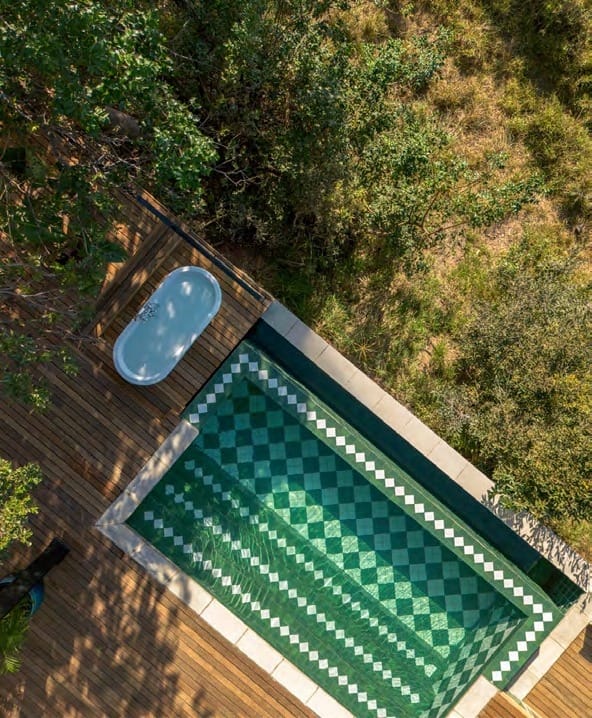 Aerial view of a private plunge pool with green and white diamond tiles on a suite deck surrounded by bush.