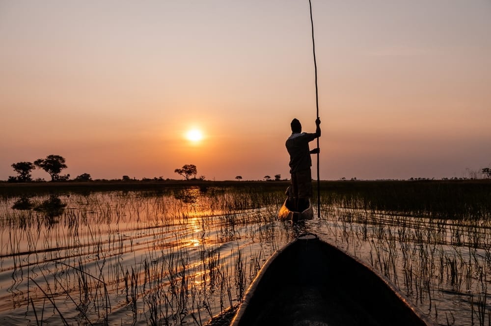 A poler stands at the stern of a mokoro on a flooded Okavango channel at sunset, the low sun ahead over the reeds
