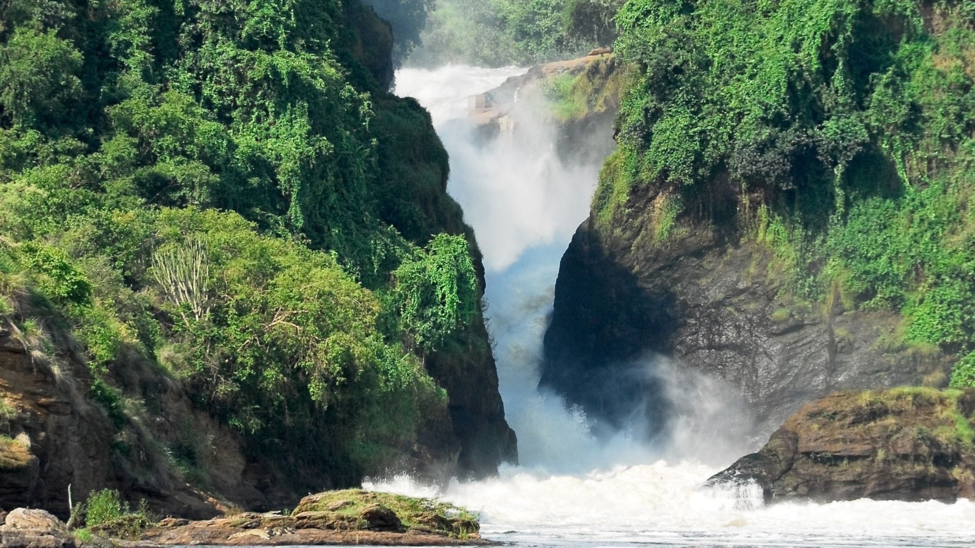The Victoria Nile forcing through the gorge at Murchison Falls, Uganda