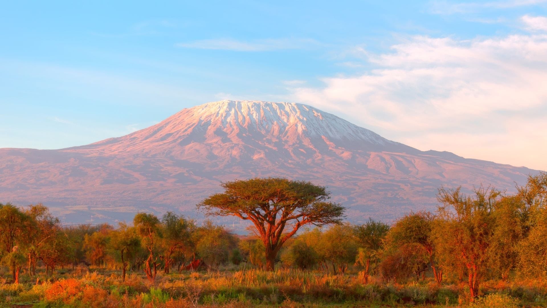 Wide photograph of the Amboseli plain at first light with Kilimanjaro snow-capped behind