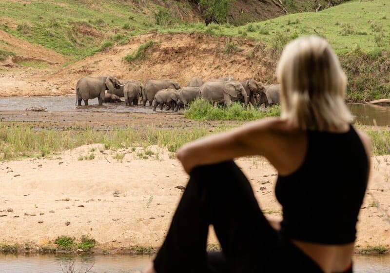 A guest on a private suite deck watching a herd of elephants at the river