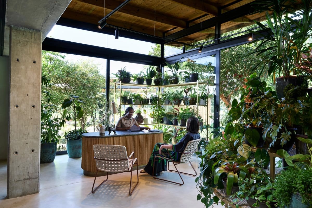 A guest chatting with a host in a glass-walled plant room at a safari lodge in the Sabi Sand