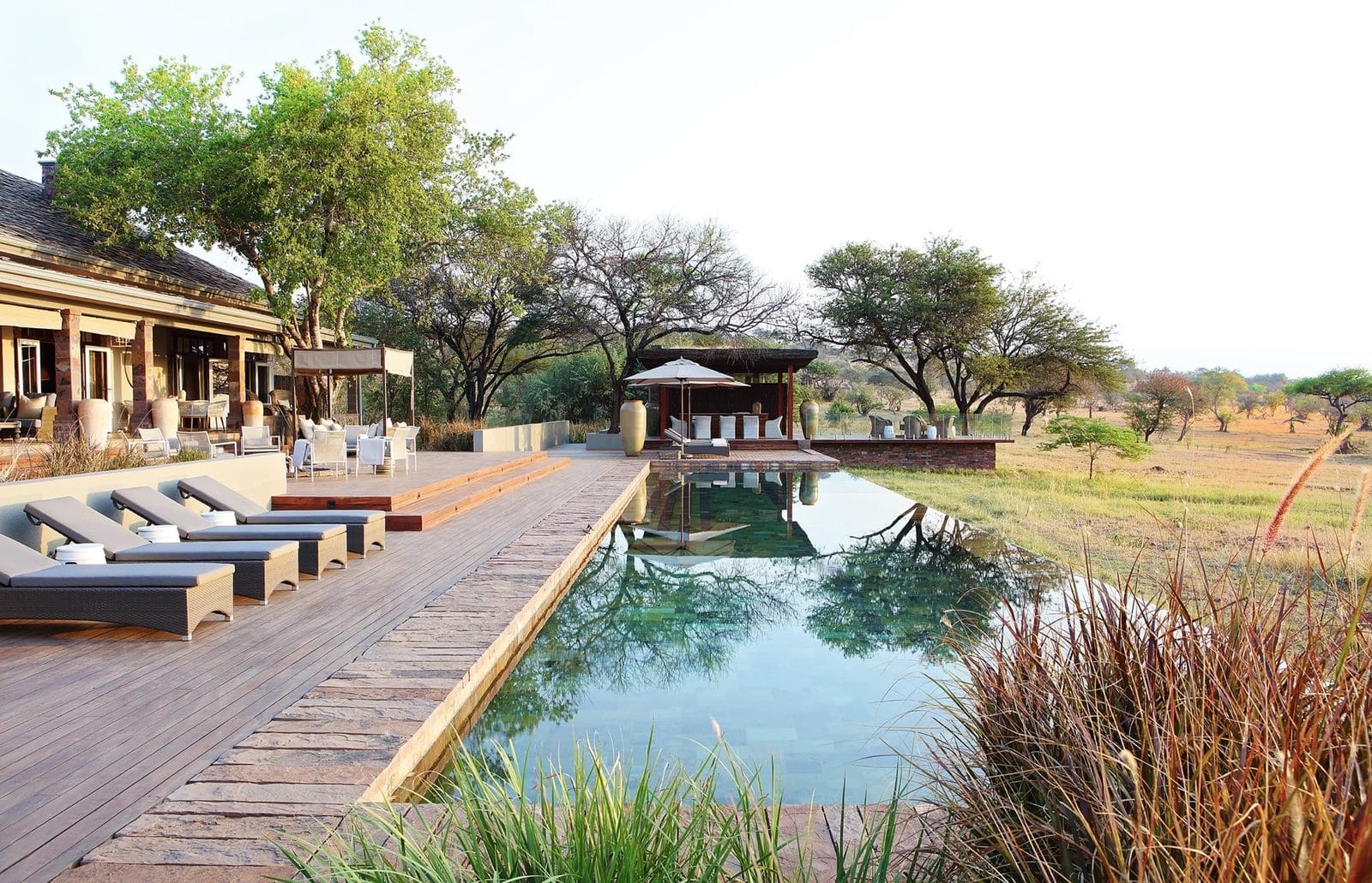 Long reflecting pool beside a timber deck and loungers, with open Serengeti grassland and acacias beyond