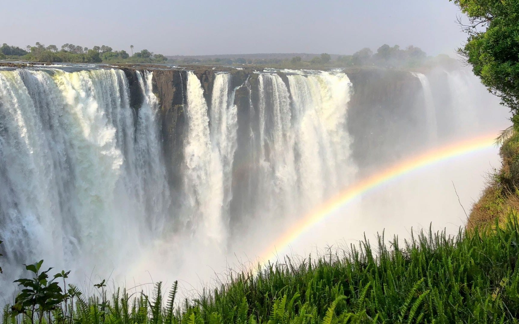Victoria Falls in full flow with a rainbow rising through the spray