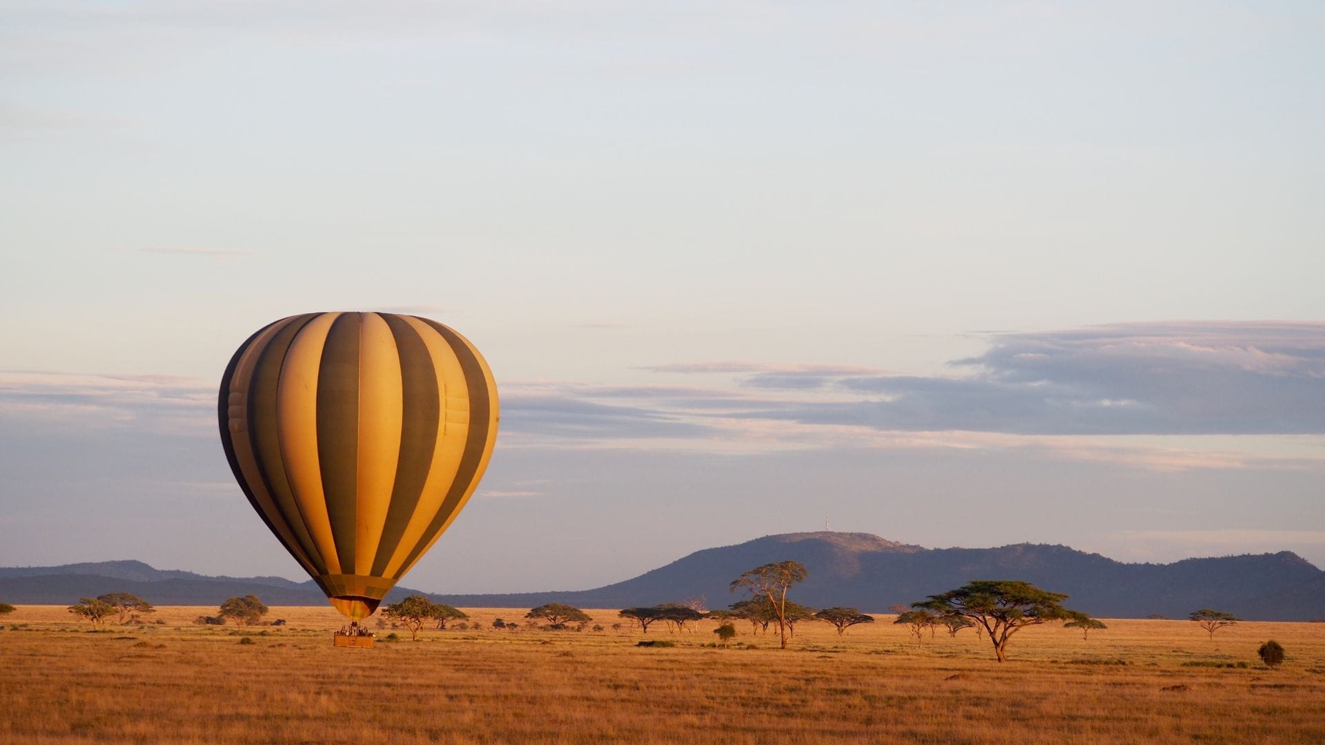 A hot air balloon drifting low over the Serengeti plains at sunrise, flat-topped acacias and a line of hills beyond