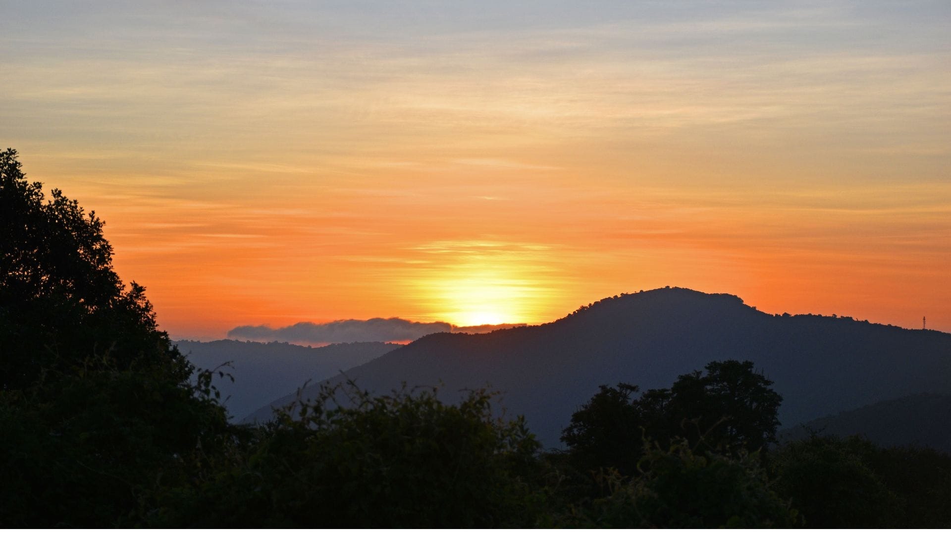 First light over the Ngorongoro highlands, the sun rising behind the forested crater rim