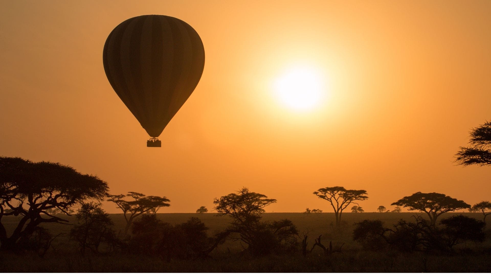A hot air balloon silhouetted against the rising sun over acacia-dotted Serengeti plains