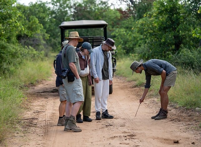A trails guide points out tracks in the sand to three guests, Selati Game Reserve