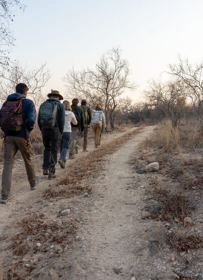 Guests walking single file behind the guide on a trail in Selati