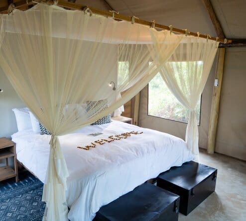 A bed under a net inside the tent