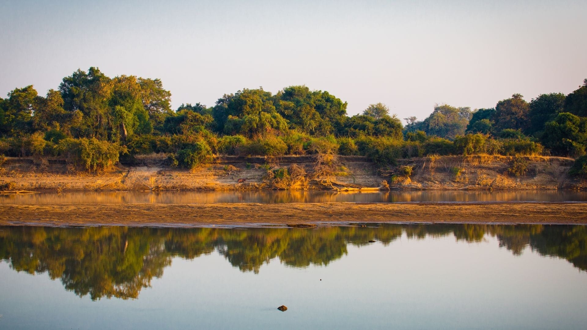 River bank and treeline reflected in still water at golden hour, the shared river country at the heart of southern African pairings