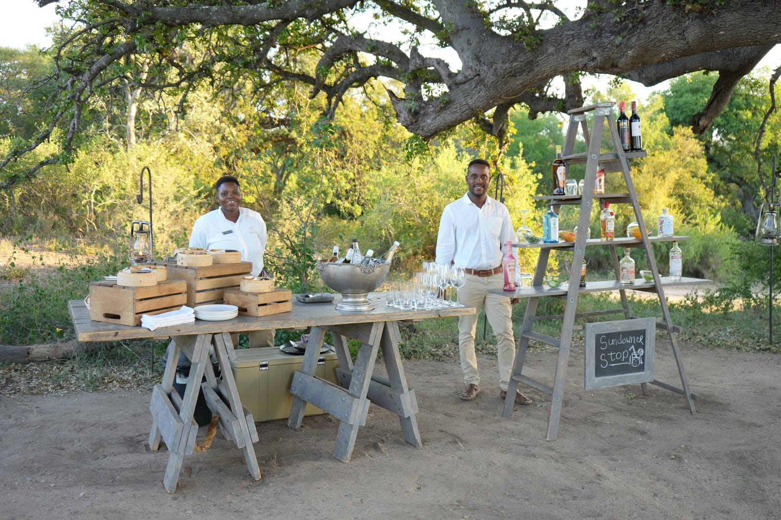 Two Kapama Karula staff in white shirts at a sundowner stop in the bush, with drinks on a wooden table and a ladder bar under a large tree