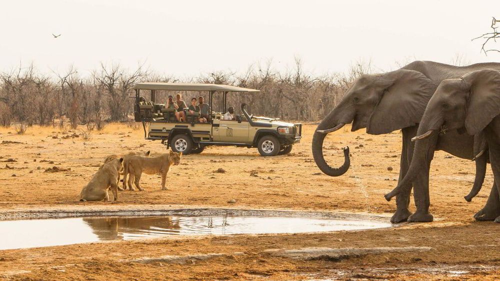 Botswana with kids: why families keep coming back