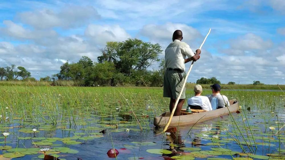 Family safari in the Okavango Delta, Botswana — mokoro through papyrus channels
