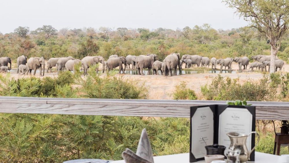 Open-sided safari lodge deck overlooking a dry riverbed at golden hour in Africa