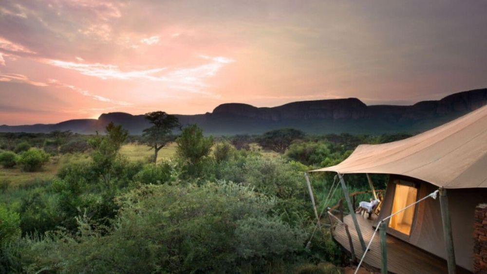 Elephants at a waterhole in a dry South African game reserve at golden hour