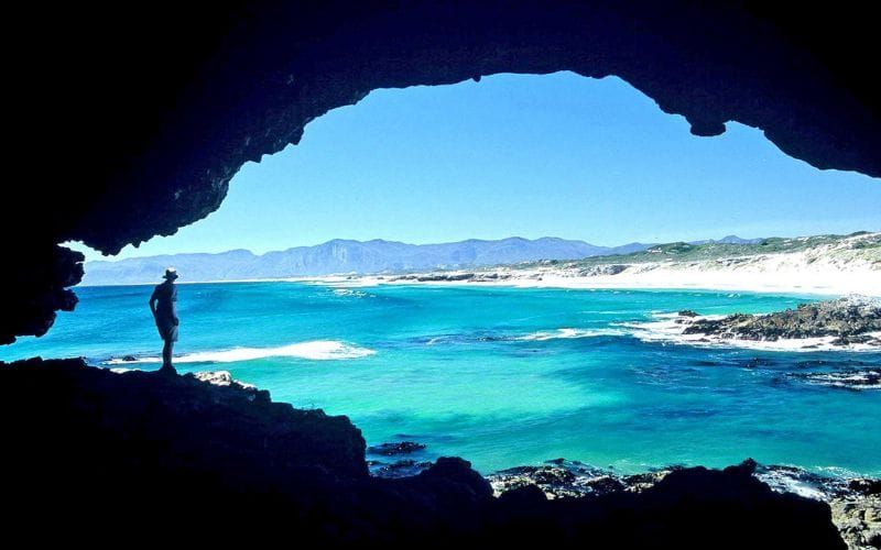 Aerial view of Grootbos Private Nature Reserve fynbos hillside with the Atlantic Ocean in the background near Hermanus, South Africa