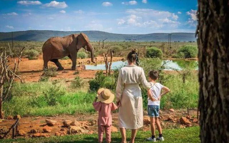 A mother and her children watching an elephant at a watering hole in a malaria-free game reserve in South Africa