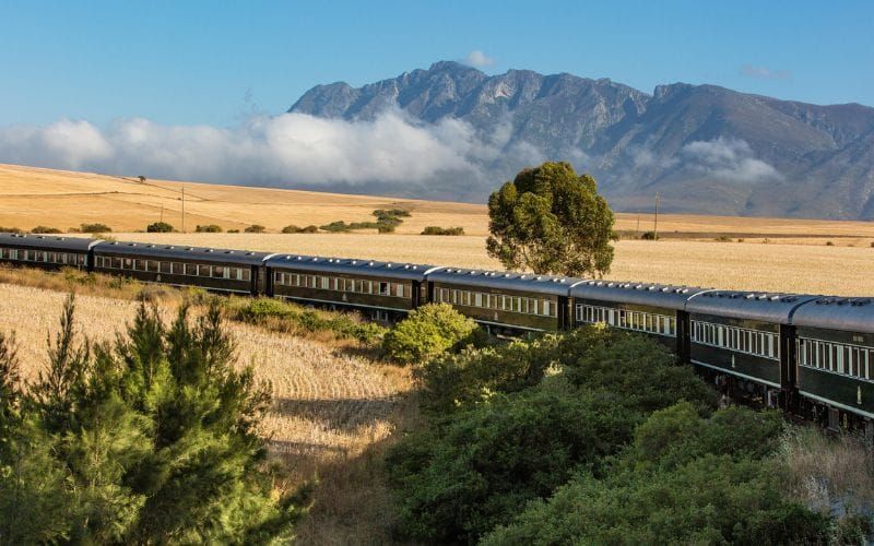 Rovos Rail luxury train moving through golden South African countryside with a dramatic mountain backdrop