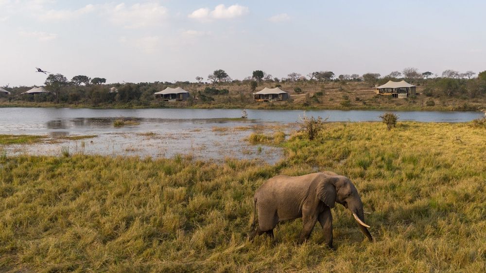 Sandringham Private Game Reserve: should you go early, or wait?