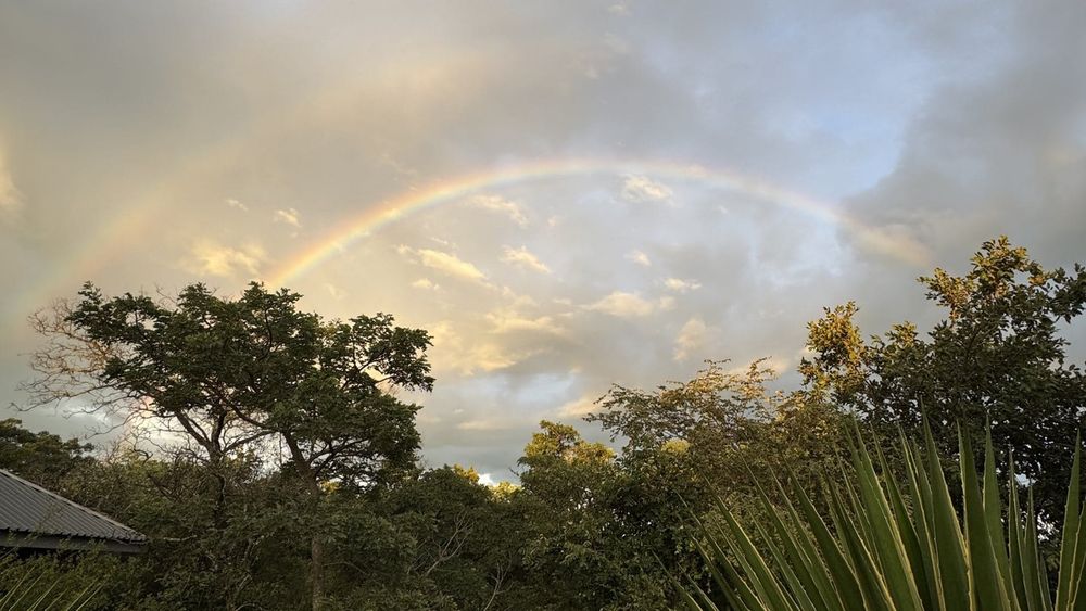 Greater Kruger in summer: is a hot, dry season still worth it?