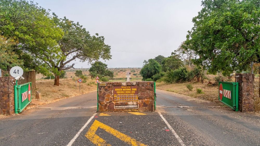 Kruger park fees are going up: what it means for your safari quote