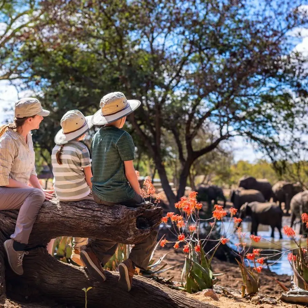 Family safaris