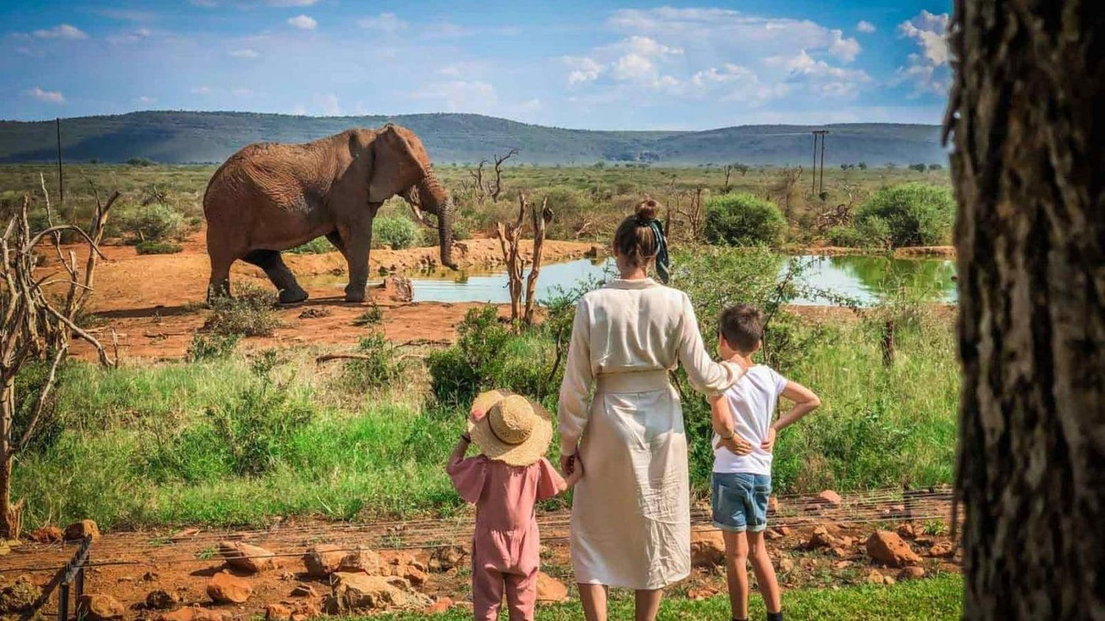 Mother with two young children watching an elephant at a waterhole, Madikwe malaria-free reserve, family viewed from behind