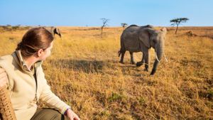 Ten days alone in Zimbabwe and Botswana. Why we keep recommending it