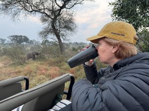 Vikki drinking coffee from a Monwana flask on a Land Cruiser at dawn, with an elephant grazing in the misty bush behind her.