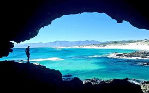 Aerial view of Grootbos Private Nature Reserve fynbos hillside with the Atlantic Ocean in the background near Hermanus, South Africa
