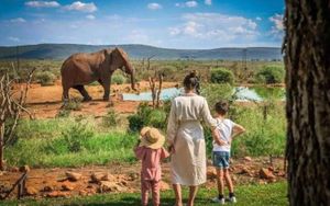 A mother and her children watching an elephant at a watering hole in a malaria-free game reserve in South Africa