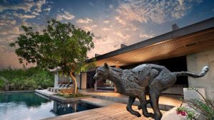 Cheetah Plains Villa