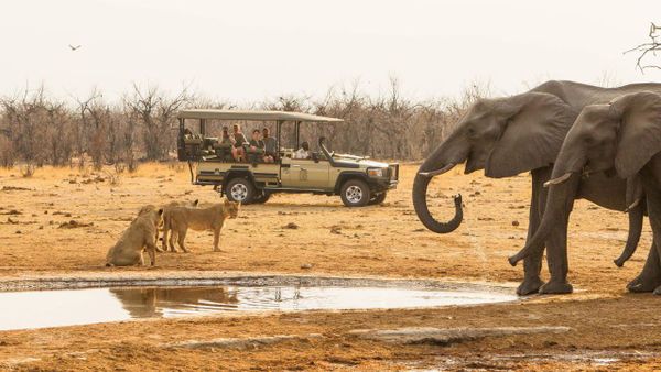 Botswana with kids: why families keep coming back