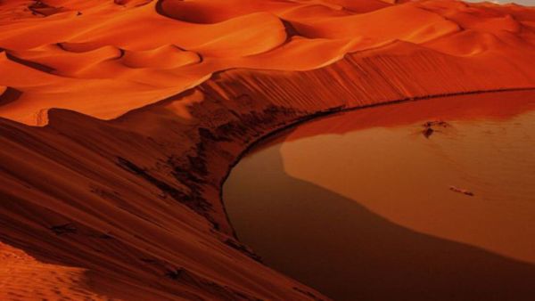Namibia or Botswana, which safari should you choose