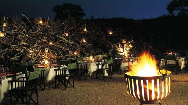 How to plan a luxury safari in South Africa