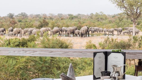 Open-sided safari lodge deck overlooking a dry riverbed at golden hour in Africa