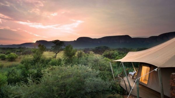 Elephants at a waterhole in a dry South African game reserve at golden hour