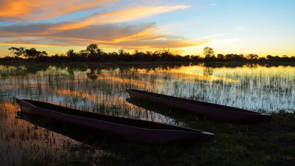 Two mokoros in a channel in Botswana’s Okavango Delta.