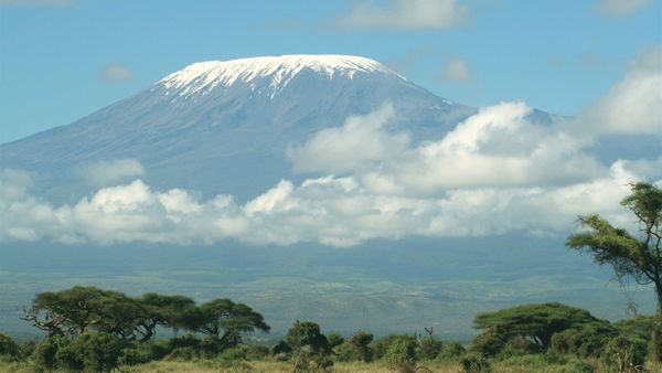 Snow-capped Kilimanjaro rising above a band of cloud, with acacia trees and green plains in the foreground