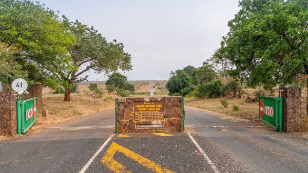 The entrance to Kruger National Park at Crocodile Bridge Gate, with a stone sign showing gate times between two green gates