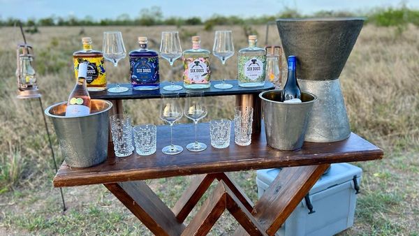 A wooden sundowner table set up in the bush with gin bottles, glasses, ice buckets and wine, open grassland behind