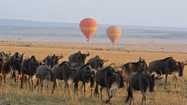 Tanzania
