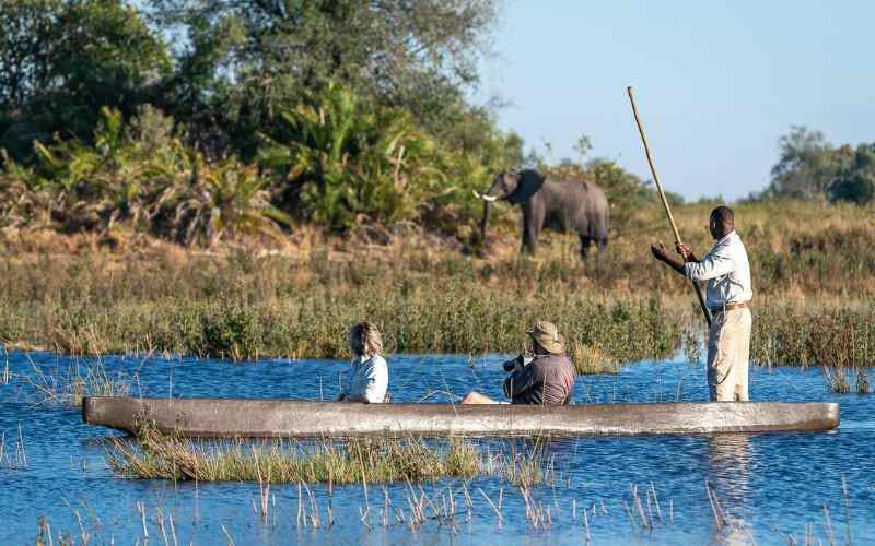 Family on mokoro canoe safari in the Okavango Delta with guide, watching an elephant near the water’s edge in Botswana.