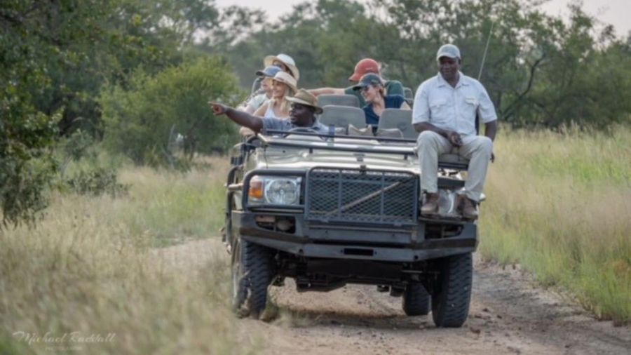 Luxury safari game drive in a private reserve in South Africa with guide and guests in open vehicle spotting wildlife.